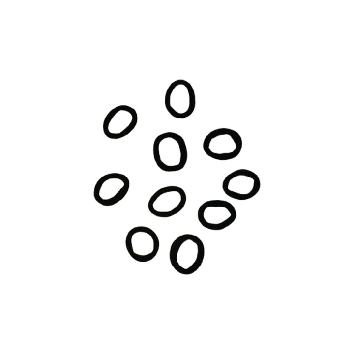 Set 10 elastice de par pentru fete, Mini Junior 2307MJ1, Negru