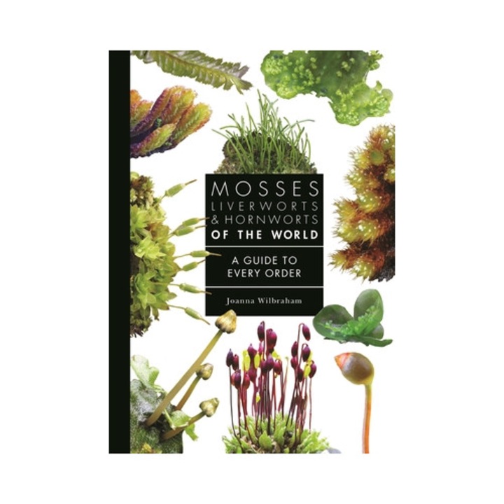 Mosses, Liverworts, And Hornworts Of The World: A Guide To Every Order - Joanna Wilbraham