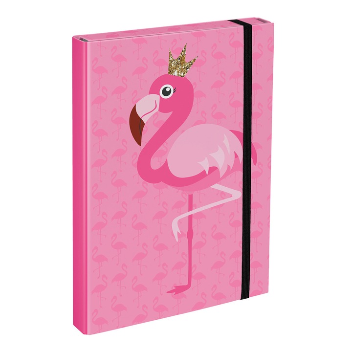 Dosare A4 Baagl, set, cu clapetă interioară, dublu elastic, multicolor