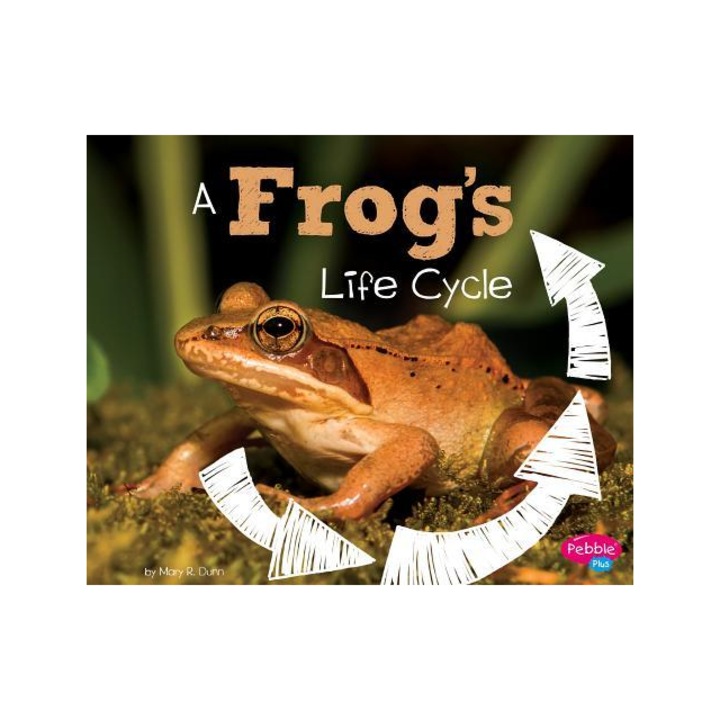 A Frog's Life Cycle, Mary R. Dunn
