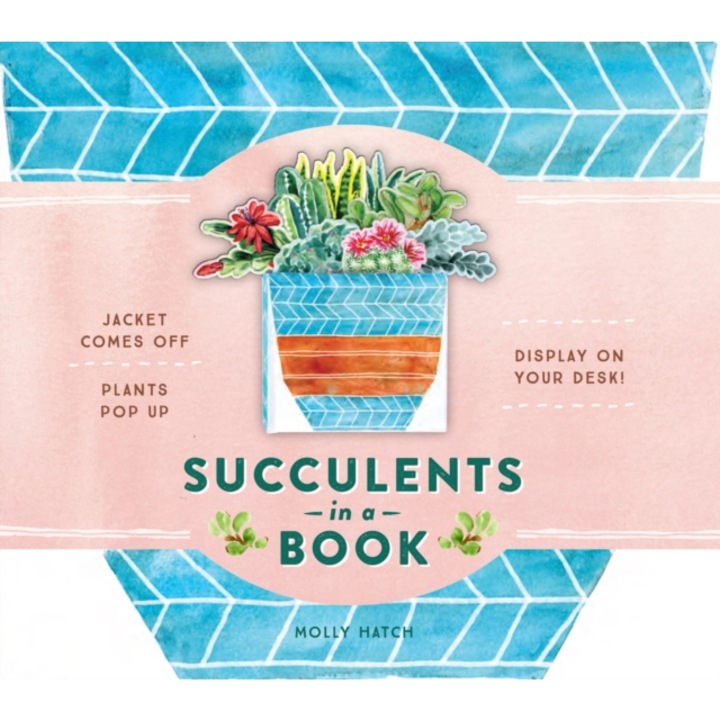 Succulents in a Book a Bouquet in a Book Jacket Comes Off. Plants Pop Up. Display on Your Desk!, Molly Hatch