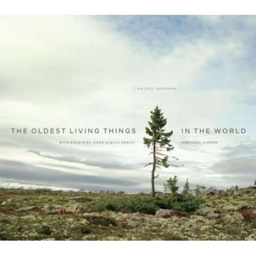 The Oldest Living Things in the World, Rachel Sussman (Author)