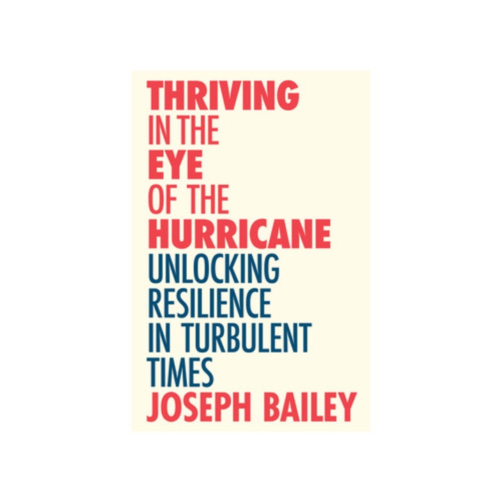 Thriving in the Eye of the Hurricane Finding Your Innate Resilience in Our Challenging Times, Joseph Bailey