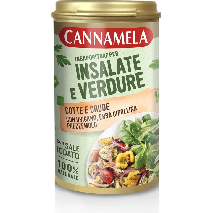 Mix condimente pentru salata Cannamela 90g