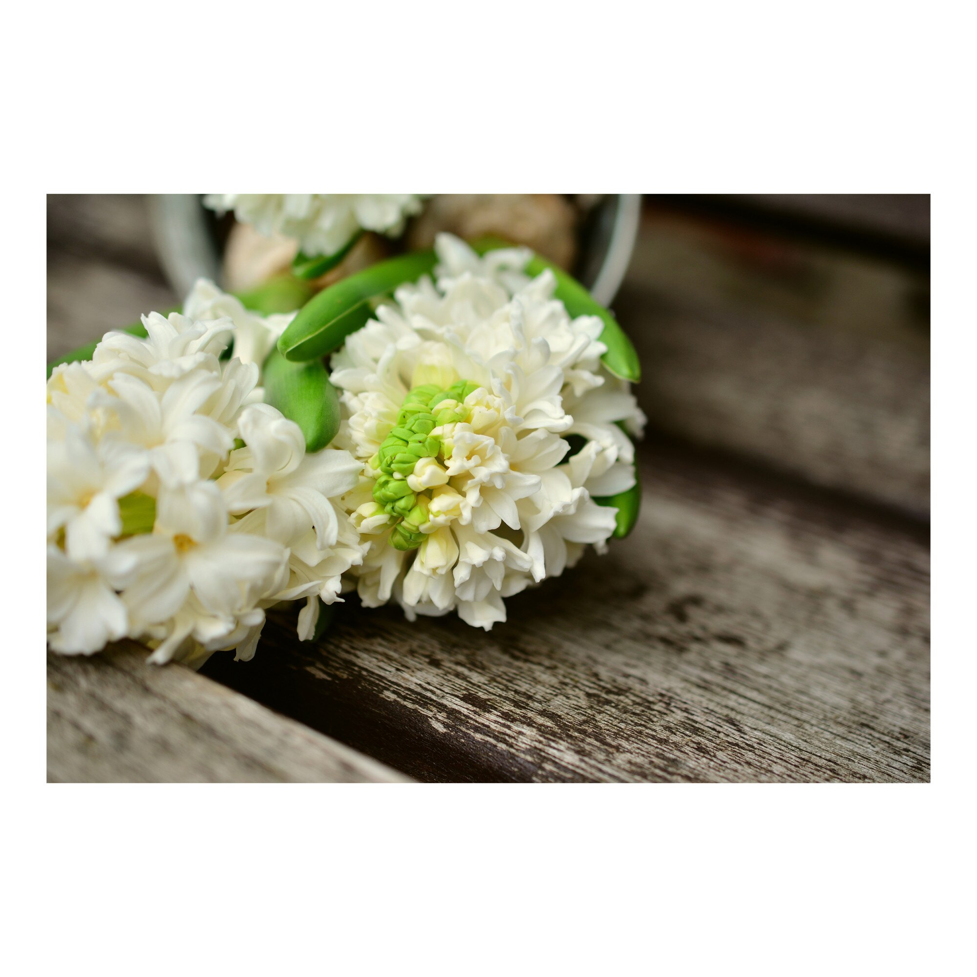 Tablou Canvas Artantida - Hyacinth Flower 60x40 cm