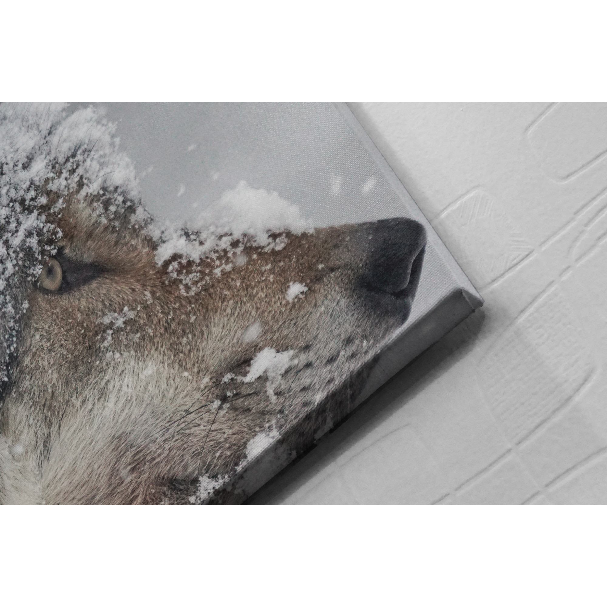 Tablou Canvas Artantida - Snow Wolf 80x60 cm