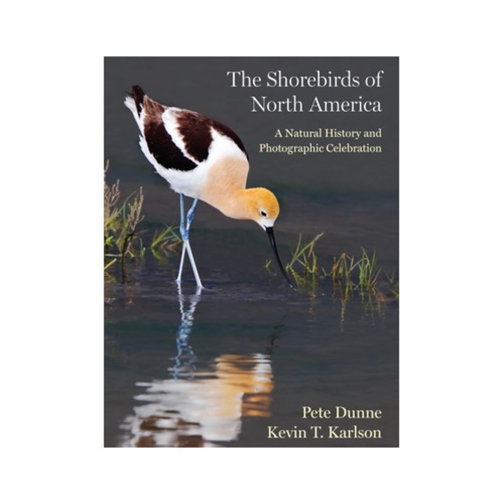 The Shorebirds Of North America: A Natural History And Photographic Celebration - Pete Dunne