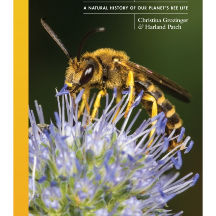 The Lives Of Bees: A Natural History Of Our Planet's Bee Life - Harland Patch