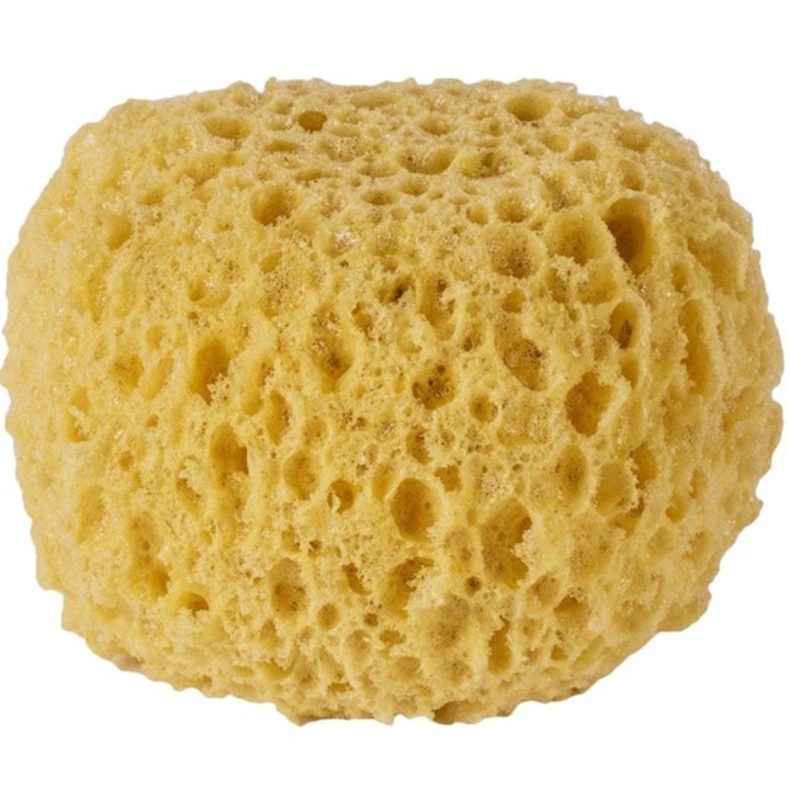 Fürdőszivacs, Zanox, 10x7 cm