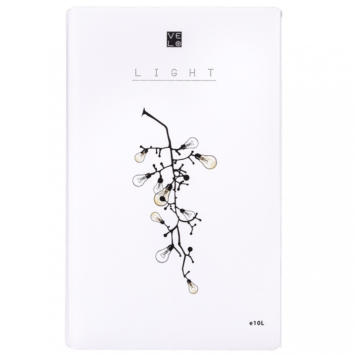 Vin bag-in-box 10 litri Feteasca regala sec Ecologic