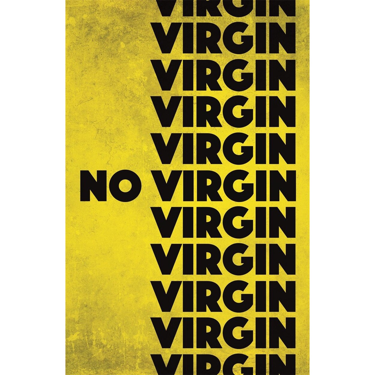 No Virgin - Anne Cassidy
