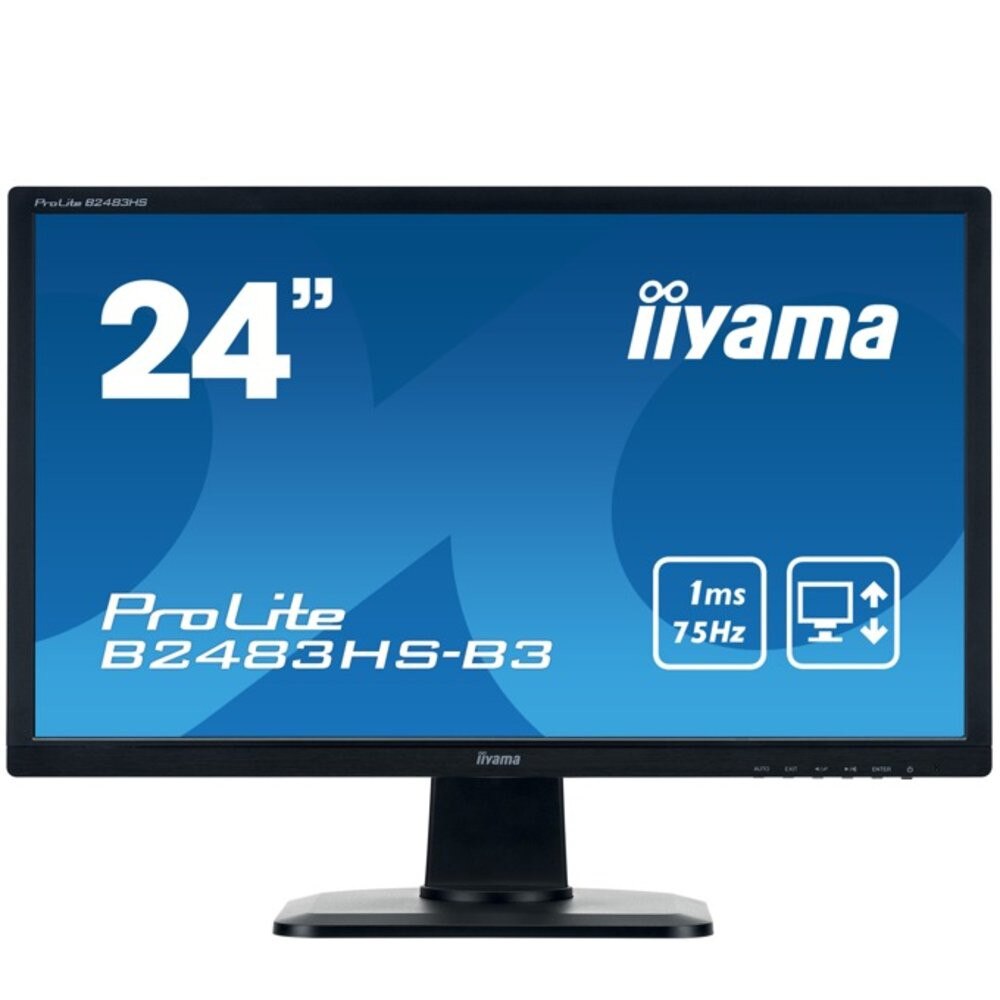 монитор Iiyama B2483HS-B3