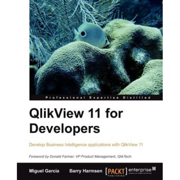Qlikview 11 Developer's Guide - B. Harmsen (Author)