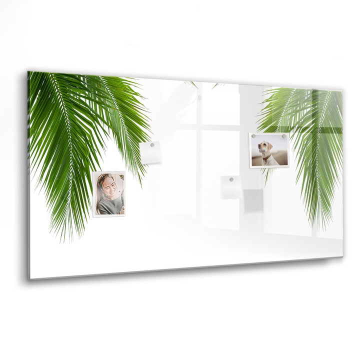 Mágneses tábla, Coloray, Természet pálma levelek, Zöld, 120x60 cm, Fekete marker, 00088327