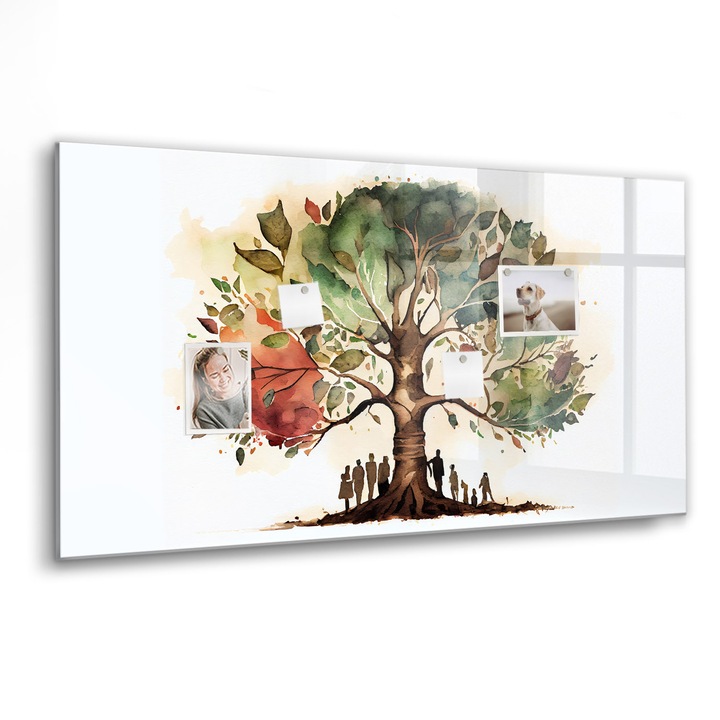 Mágneses tábla, Coloray, Családfa, Többszínű, 120x60 cm, Fekete marker, 00088295