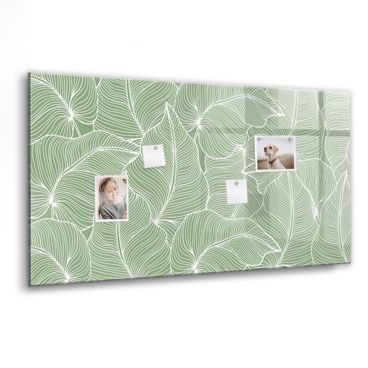 Mágneses tábla, Coloray, Természetes mintát hagy, Zöld, 120x60 cm, Fekete marker, 00088296