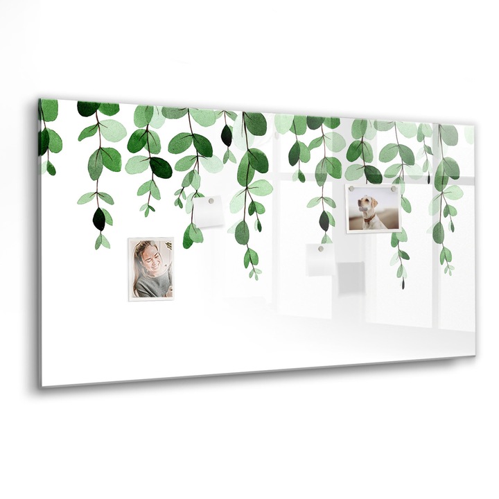 Mágneses tábla, Coloray, Növény levelei, Zöld, 120x60 cm, Fekete marker, 00088379