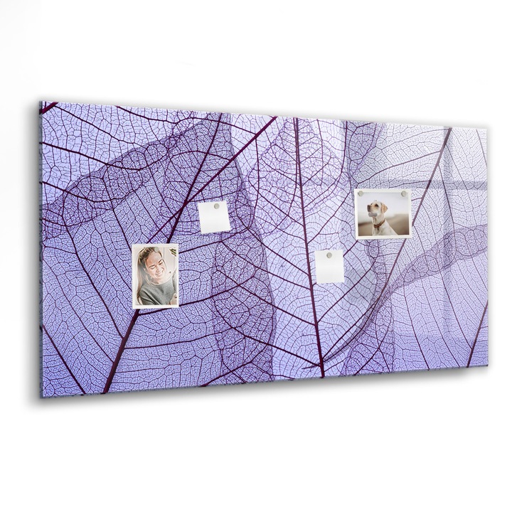 Mágneses tábla, Coloray, A természet levelei, Mályvaszín, 120x60 cm, Fekete marker, 00088396