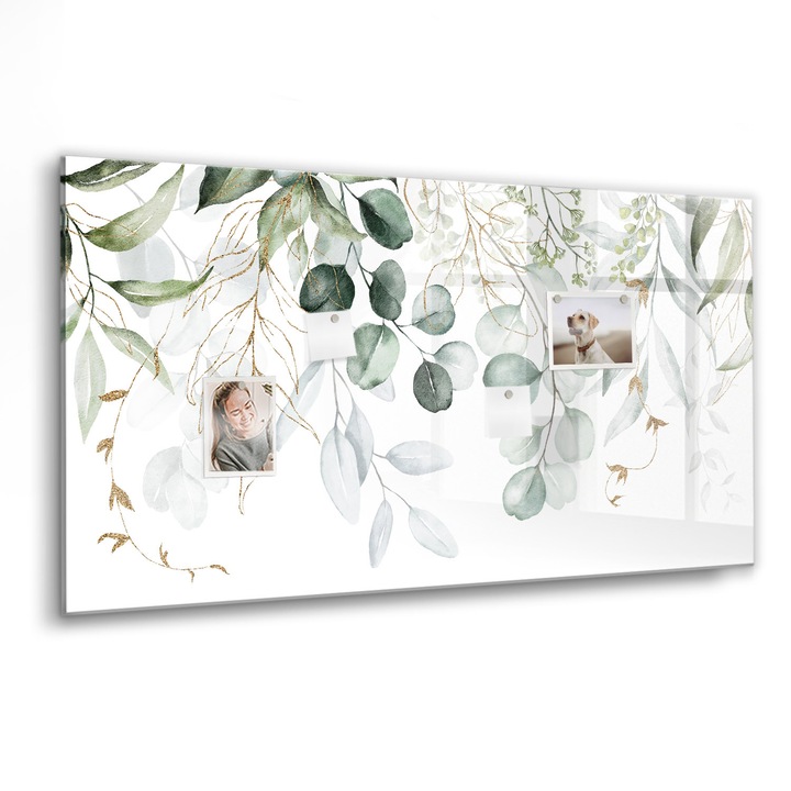 Mágneses tábla, Coloray, Függő növények, Zöld, 120x60 cm, Fekete marker, 00088308