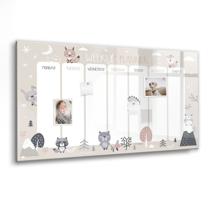 Mágneses tábla, Coloray, Állattervező, Többszínű, 120x60 cm, Fekete marker, 00088443