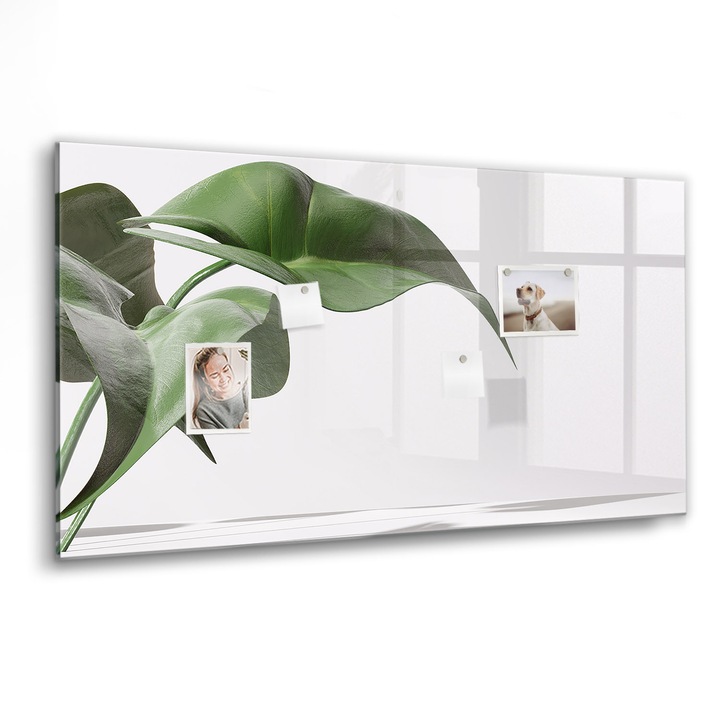 Mágneses tábla, Coloray, Absztrakt levelek, Zöld, 120x60 cm, Fekete marker, 00088434