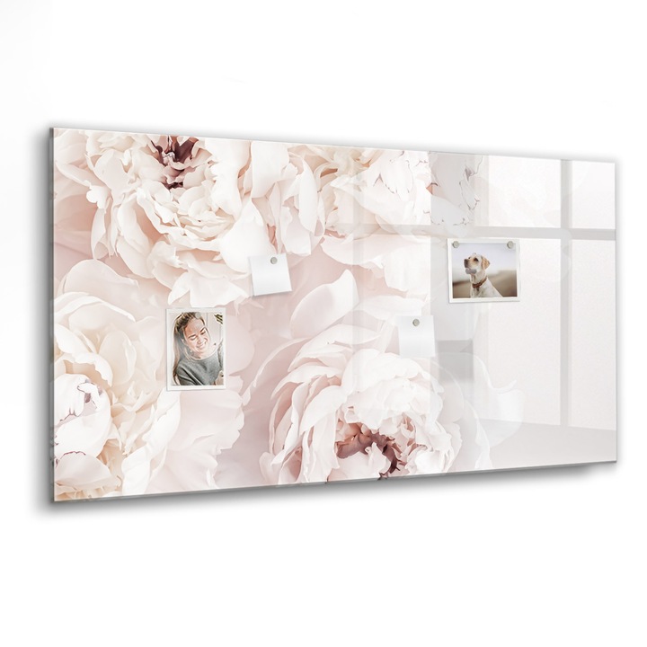 Mágneses tábla, Coloray, Bazsarózsa virágok, Rózsaszín, 120x60 cm, Fekete marker, 00088464