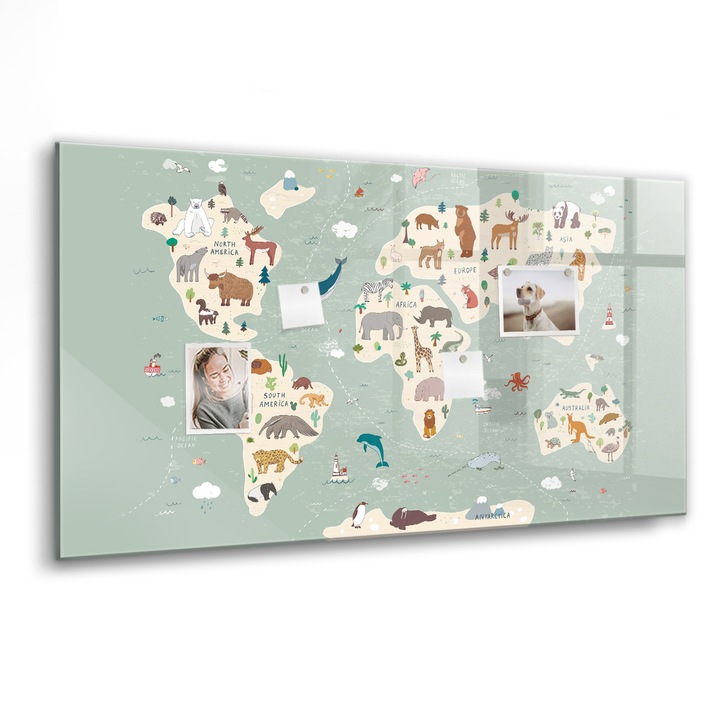 Mágneses tábla, Coloray, A világ állattérképe, Többszínű, 120x60 cm, Fekete marker, 00088438