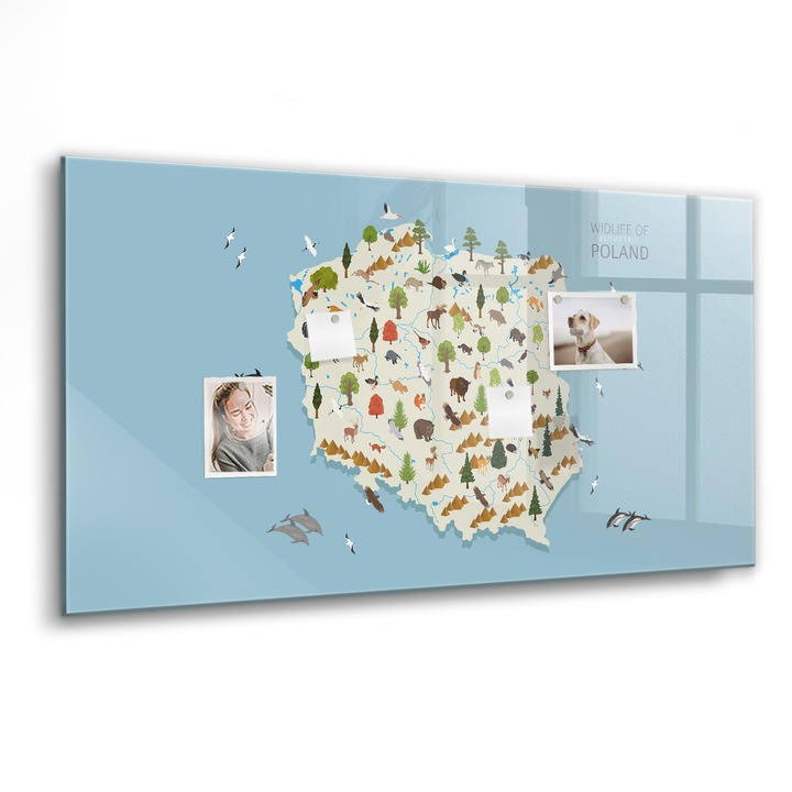 Mágneses tábla, Coloray, Lengyel állattérkép, Többszínű, 120x60 cm, Fekete marker, 00088428