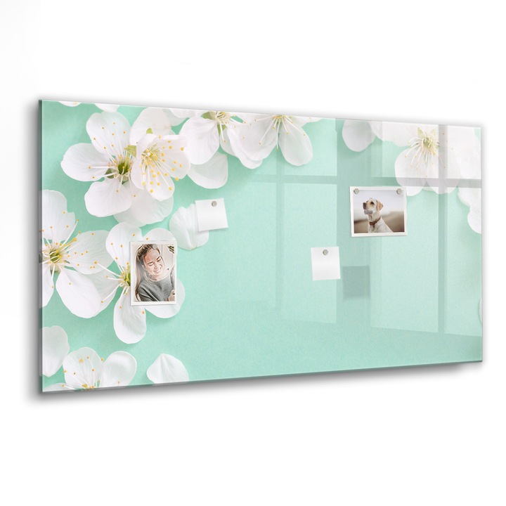 Mágneses tábla, Coloray, Virágzó százszorszépek, Türkiz, 120x60 cm, Fekete marker, 00088496