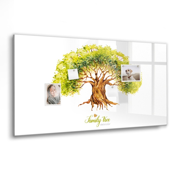 Mágneses tábla, Coloray, Családfa, Fehér, 120x60 cm, Fekete marker, 00088542