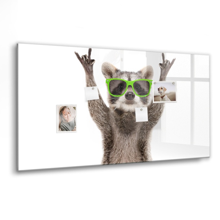 Mágneses tábla, Coloray, Mosómedve szemüveggel, Többszínű, 120x60 cm, Fekete marker, 00088582