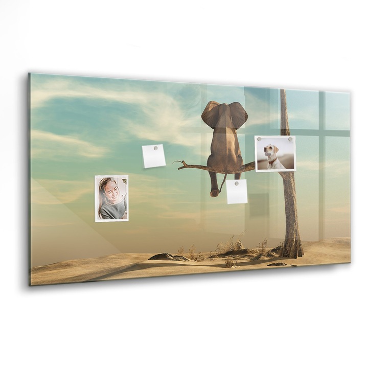 Mágneses tábla, Coloray, Elefánt a fán, Többszínű, 120x60 cm, Fekete marker, 00088574