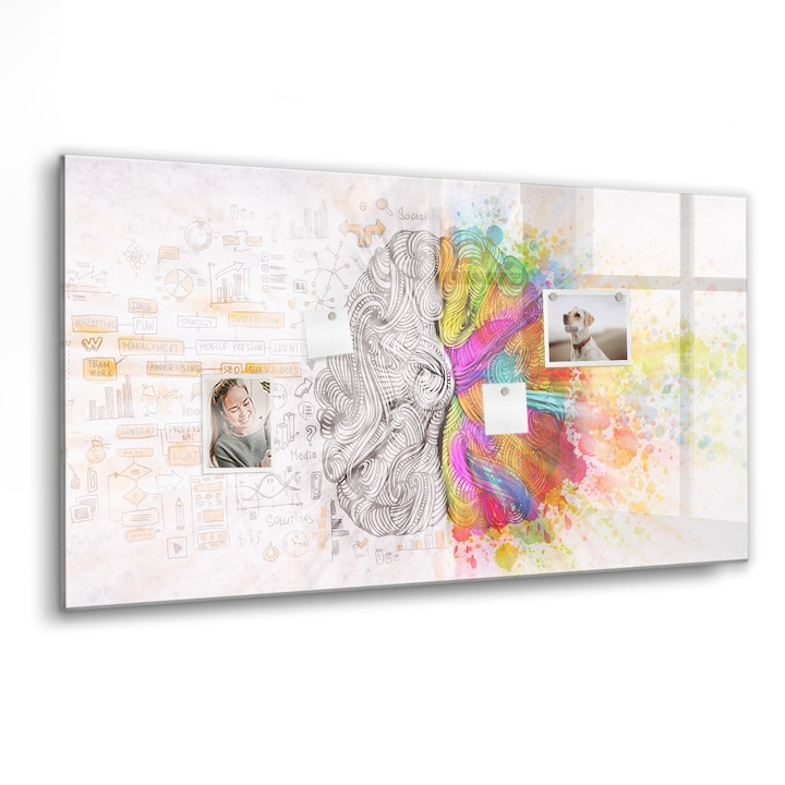 Mágneses tábla, Coloray, Agy absztrakció, Többszínű, 120x60 cm, Fekete marker, 00088588