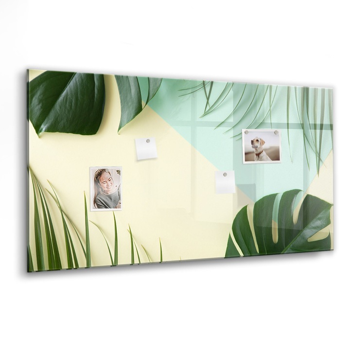 Mágneses tábla, Coloray, Monstera levelek, Zöld, 120x60 cm, Fekete marker, 00088577