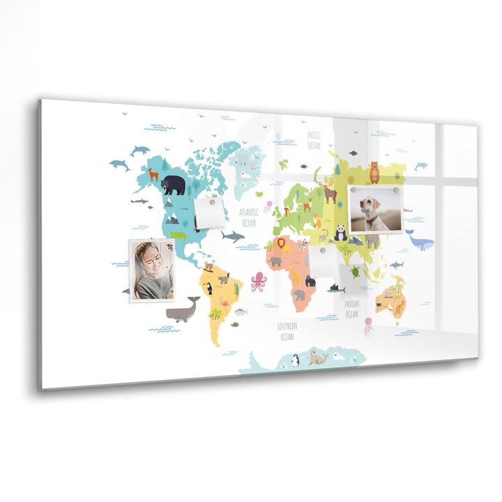 Mágneses tábla, Coloray, Az állatvilág térképe, Többszínű, 120x60 cm, Fekete marker, 00088575