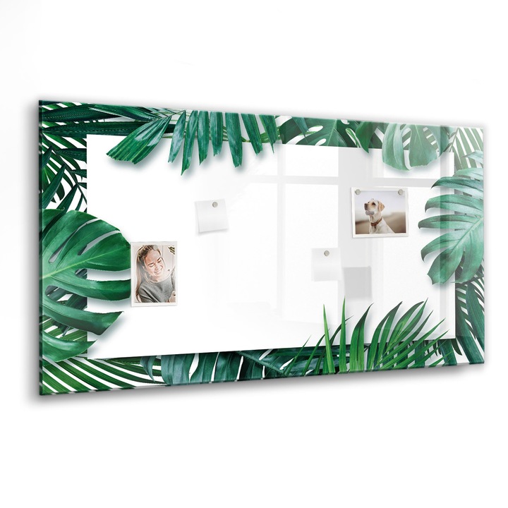 Mágneses tábla, Coloray, Trópusi levelek, Zöld, 120x60 cm, Fekete marker, 00088615