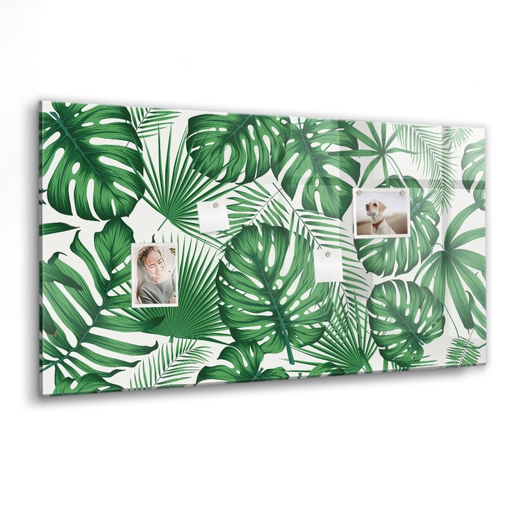 Mágneses tábla, Coloray, Monstera levelek, Zöld, 120x60 cm, Fekete marker, 00088642