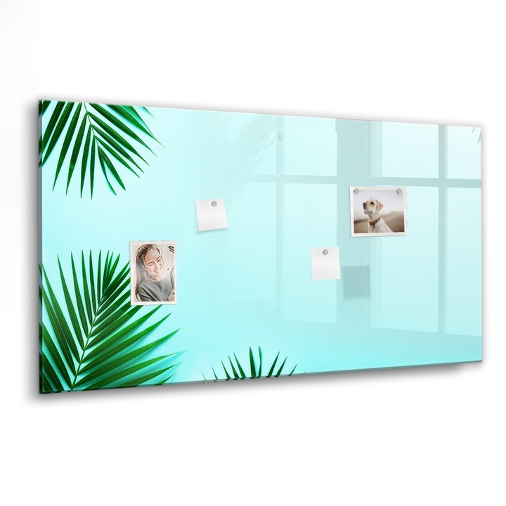 Mágneses tábla, Coloray, pálmalevelek, Zöld, 120x60 cm, Fekete marker, 00260208