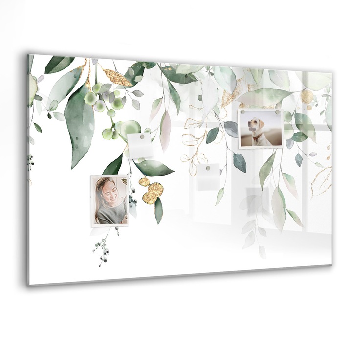 Mágneses tábla, Coloray, A növényi természet levelei, Zöld, 90x60 cm, Fekete markers, 00088422