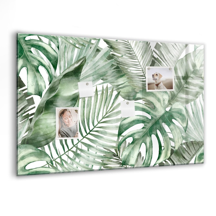 Mágneses tábla, Coloray, Növény levelei, Zöld, 90x60 cm, Fekete markers, 00088343