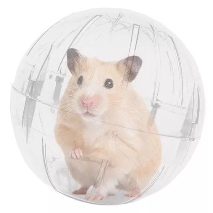Minge de fitness pentru hamster, 12cm, transparent