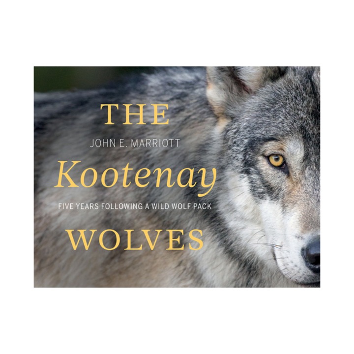 The Kootenay Wolves Five Years Following a Wild Wolf Pack