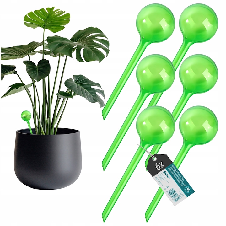Set picuratoare pentru irigare plante, irigator ghiveci, bile pentru udarea plantelor de flori de casa, verde, marimea M, 70ml, 6buc