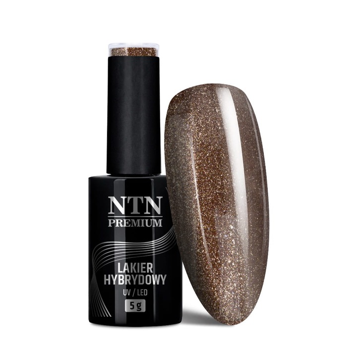 Oja hibrida NTN Premium Fiesta Collection 5 g Nr 81, culori intense, stralucire de lunga durata