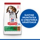 Hrana uscata pentru caini Hill's SP Canine Puppy, Medium, Miel si Orez, 18kg