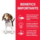 Hrana uscata pentru caini Hill's SP Canine Puppy, Medium, Miel si Orez, 18kg