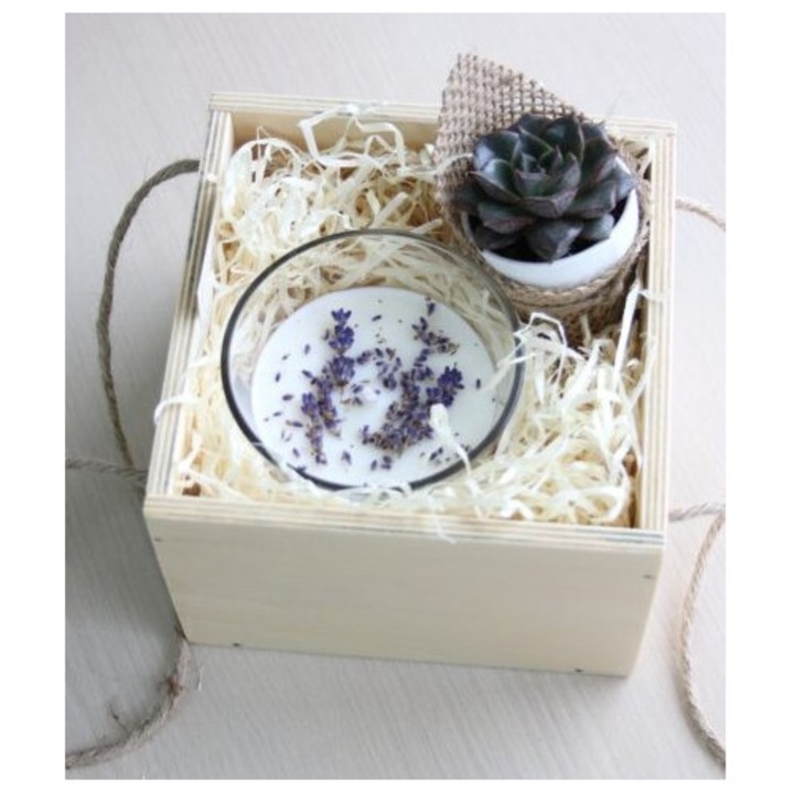 Set Cadou cutie lemm cu lumanare din ceara de soia naturala cu lavanda si mini planta suculenta