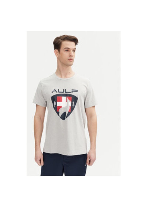 Tricou barbati Aulp, ROQUE M, Bumbac/Poliester reciclat, Gri, Gri, L