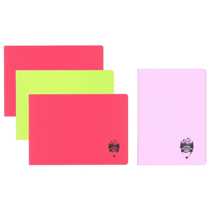 Set caiete Daco, Muzica + Biologie + Geografie + Velin, Roz, A5 (17x24cm)