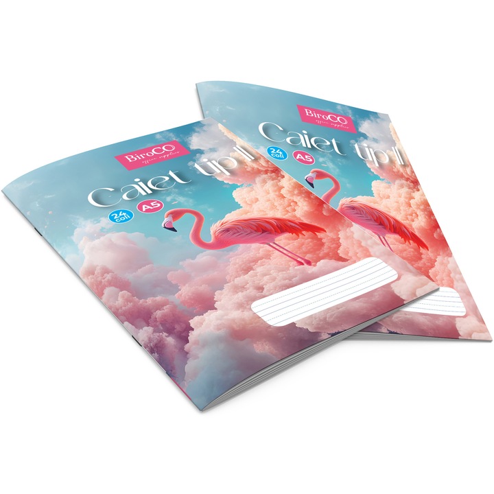 Caiet BiroCO Tip II A5 24 File Model Flamingo 4Buc/Set